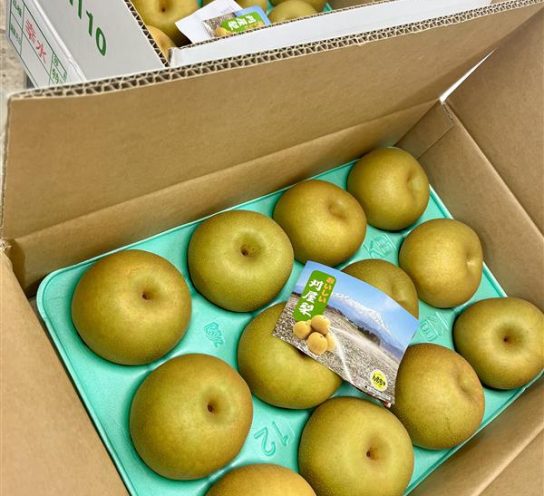 「農家さんから梨が届きました」のサムネイル